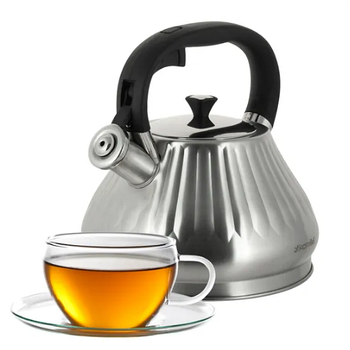 Чайник 3л нержавіюча сталь зі свистком з ручкою "soft-touch" 859 KAMILLE