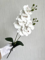 Орхідея декоративна з латексу з листиками та корінцями ( 55 см ), фото 5