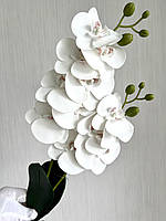 Орхідея декоративна з латексу з листиками та корінцями ( 55 см ), фото 4