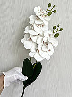 Орхідея декоративна з латексу з листиками та корінцями ( 55 см ), фото 8