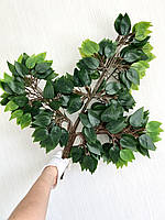 Штучна гілка фікуса Бенджаміна на коричневому стебелі (паковання 12 штук, латекс), фото 3