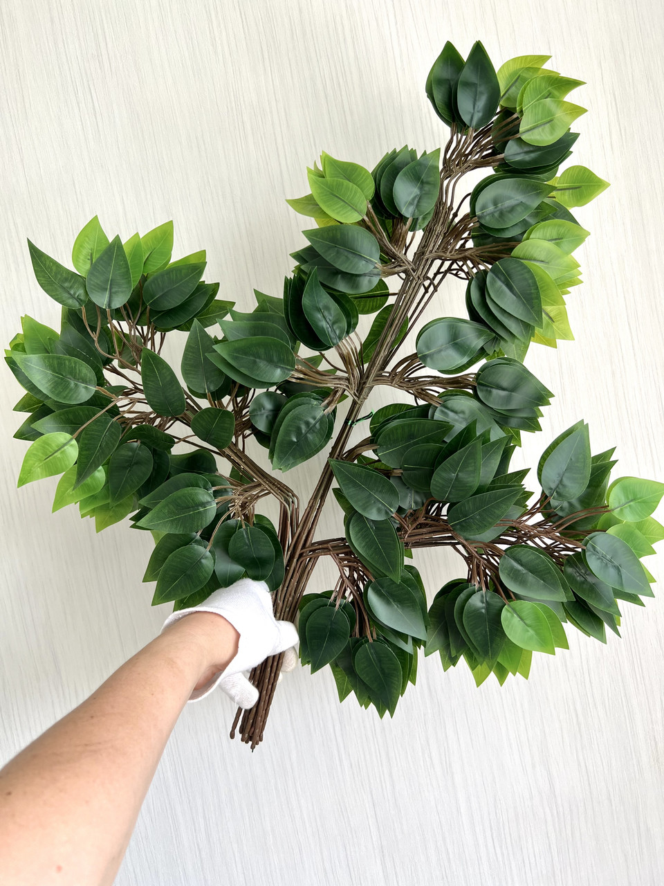 Штучна гілка фікуса Бенджаміна на коричневому стебелі (паковання 12 штук, латекс), фото 1