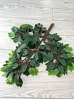 Штучна гілка фікуса Бенджаміна на коричневому стебелі (паковання 12 штук, латекс), фото 5