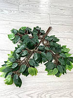 Штучна гілка фікуса Бенджаміна на коричневому стебелі (паковання 12 штук, латекс), фото 2