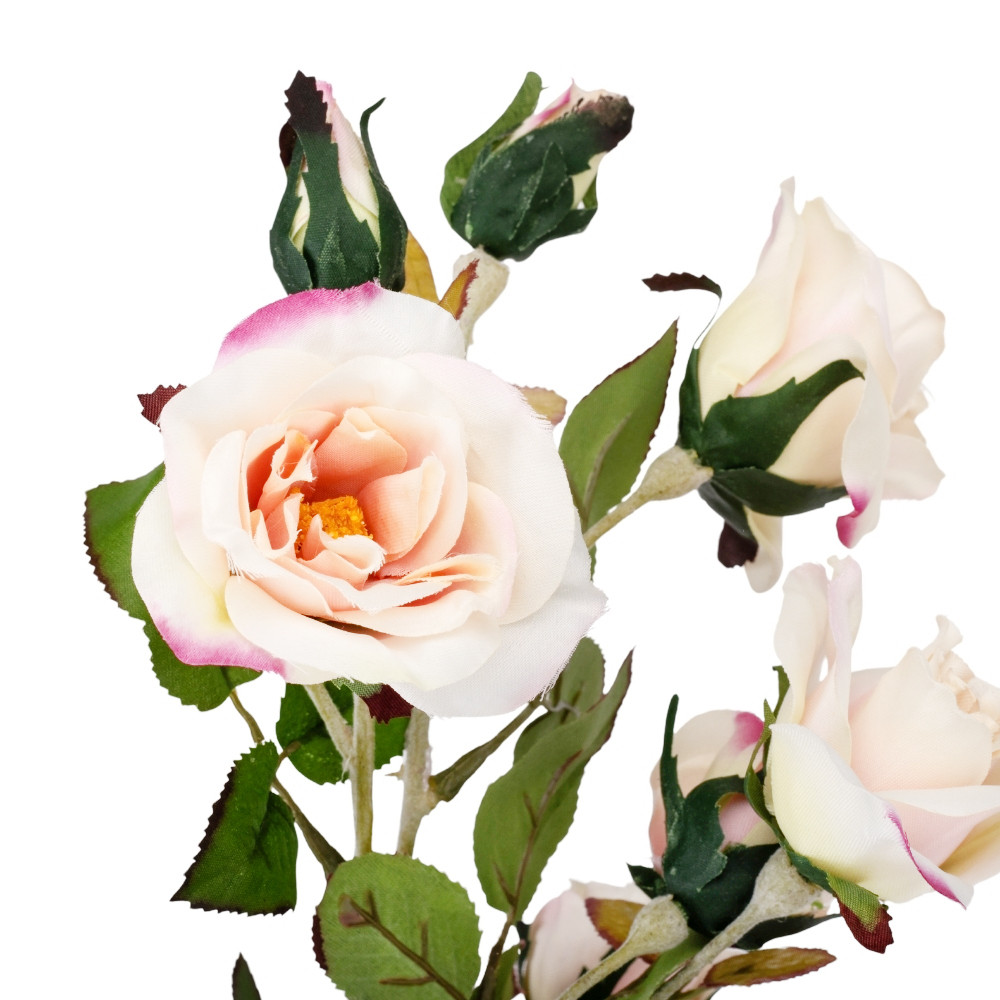 Камелия персикова  (75 см) ELISEY, фото 1