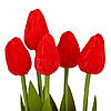 Букет тюльпанів "Рапсодія", червоний, 25,5 см ELISEY, фото 2