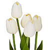 Букет тюльпанів "Рапсодія", кремовий, 25,5 см ELISEY, фото 2