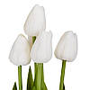 Букет тюльпанів "Рапсодія", білий, 25,5 см ELISEY, фото 2