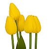 Букет тюльпанів "Рапсодія", жовтий, 25,5 см ELISEY, фото 2
