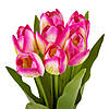 Букет тюльпанів "Барви", рожевий, 40 см ELISEY, фото 2
