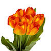 Букет тюльпанів "Барви", помаранчевий, 40 см ELISEY, фото 2