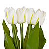 Букет тюльпанів "Барви", білий, 40 см ELISEY, фото 2