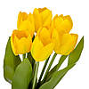 Букет тюльпанів "Барви", жовтий, 40 см ELISEY, фото 2