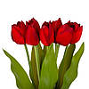 Букет тюльпанів "Барви", червоний, 40 см ELISEY, фото 2