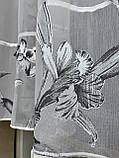 Коротка тюль. Готова коротка тюль. Коротка тюль із сірим малюнком, фото 7
