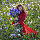 Guerlain Aqua Allegoria Florabloom Туалетная вода, 1 мл Пробник, фото 8