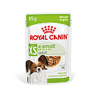Вологий корм для дорослих собак ROYAL CANIN XSMALL ADULT IN GRAVY 0.085 кг