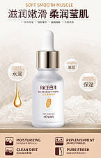 Опт Сироватка для обличчя Hchana Rice Skin Beauty Essence з екстрактом білого рису 15 мл, фото 5