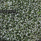 Гель для дизайну CROOZ FLOWER GEL #1, 5 мл, фото 4