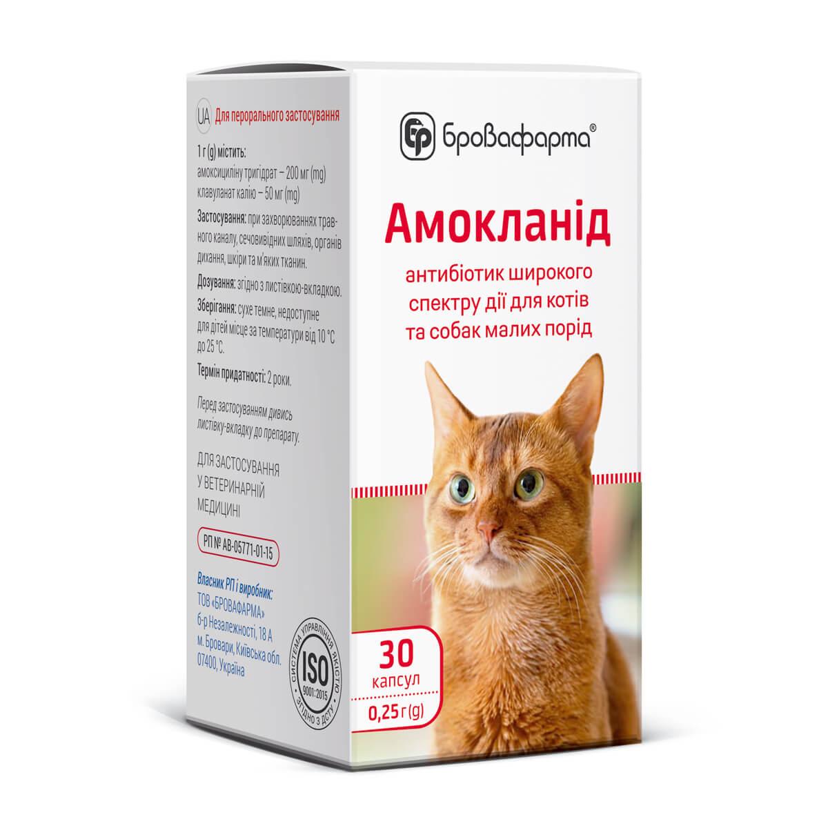 Амокланід для котів капсули  по 0,25г, 30 шт