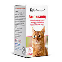 Амокланід для котів капсули  по 0,25г, 30 шт