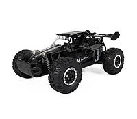 Машинка на радіокеруванні High Speed Off Road Buggy,маштаб 1:16, 2WD, Чорний