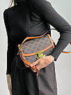 Жіноча сумка Селін чорна Celine Black Teen Triomphe Bag in Triomphe, фото 3