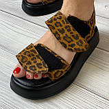 Жіночі шкіряні леопардові босоніжки з липучками, фото 3