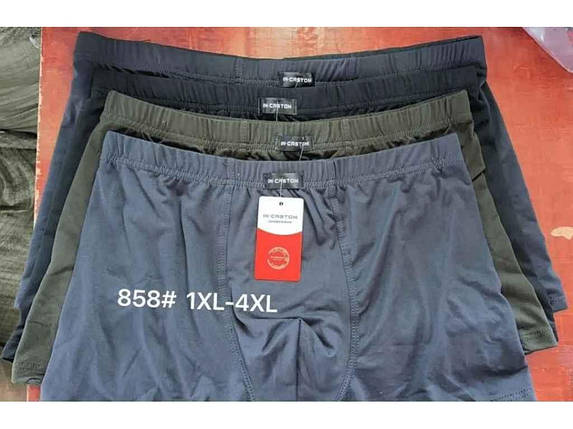 Боксери чоловічі труси бамбук арт.858 2шт р.2XL ТМ CASTOM BP, фото 1