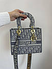 Жіноча сумка Крістіан Діор сіра Christian Dior Grey Medium Lady D-Lite Bag, фото 3