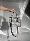 Жіноча сумка Крістіан Діор сіра Christian Dior Grey Medium Lady D-Lite Bag, фото 8