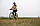 Велосипед 28" Marin KENTFIELD 2 ST рама - L 2025 Gloss Light Green/Black/Green, фото 4