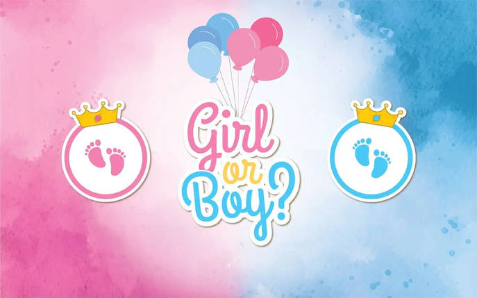 Плакат тематичний ґендерний | Boy or Girl, фото 3