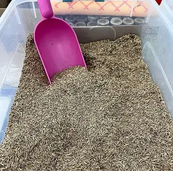 Газон Суміш 1 гр (Німечинна-Голландія)