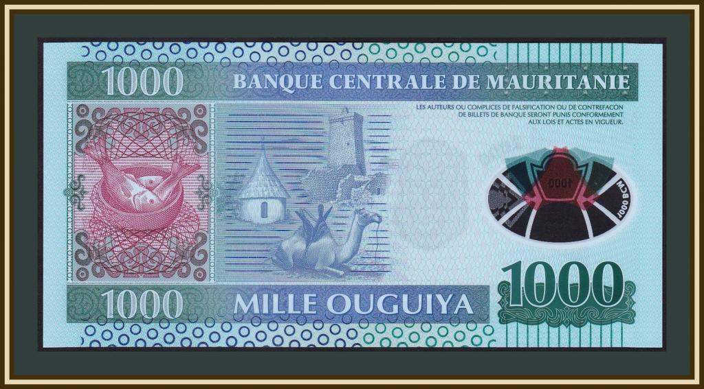 Мавритання 1000 вугів 2014 Полімер UNC No441, фото 1