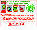 Насіння, кавун Чарльстон Грей (Франція), середньо-ранній, проф. насіння, 500 грамів банку, оброблені, фото 2