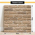 Двосторонній пластиковий фотофон, PolyPlast 40x40 см - №63160, фото 3