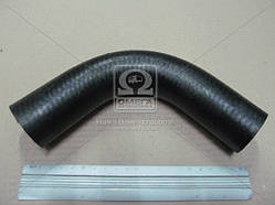 Верхній патрубок радіатора МТЗ