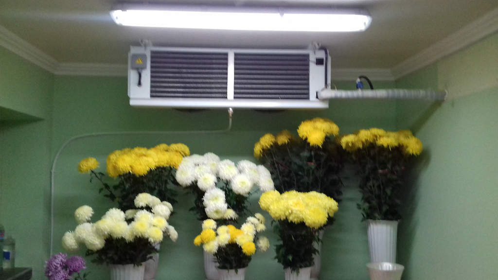 Воздухоохладитель потолочный (Турция)