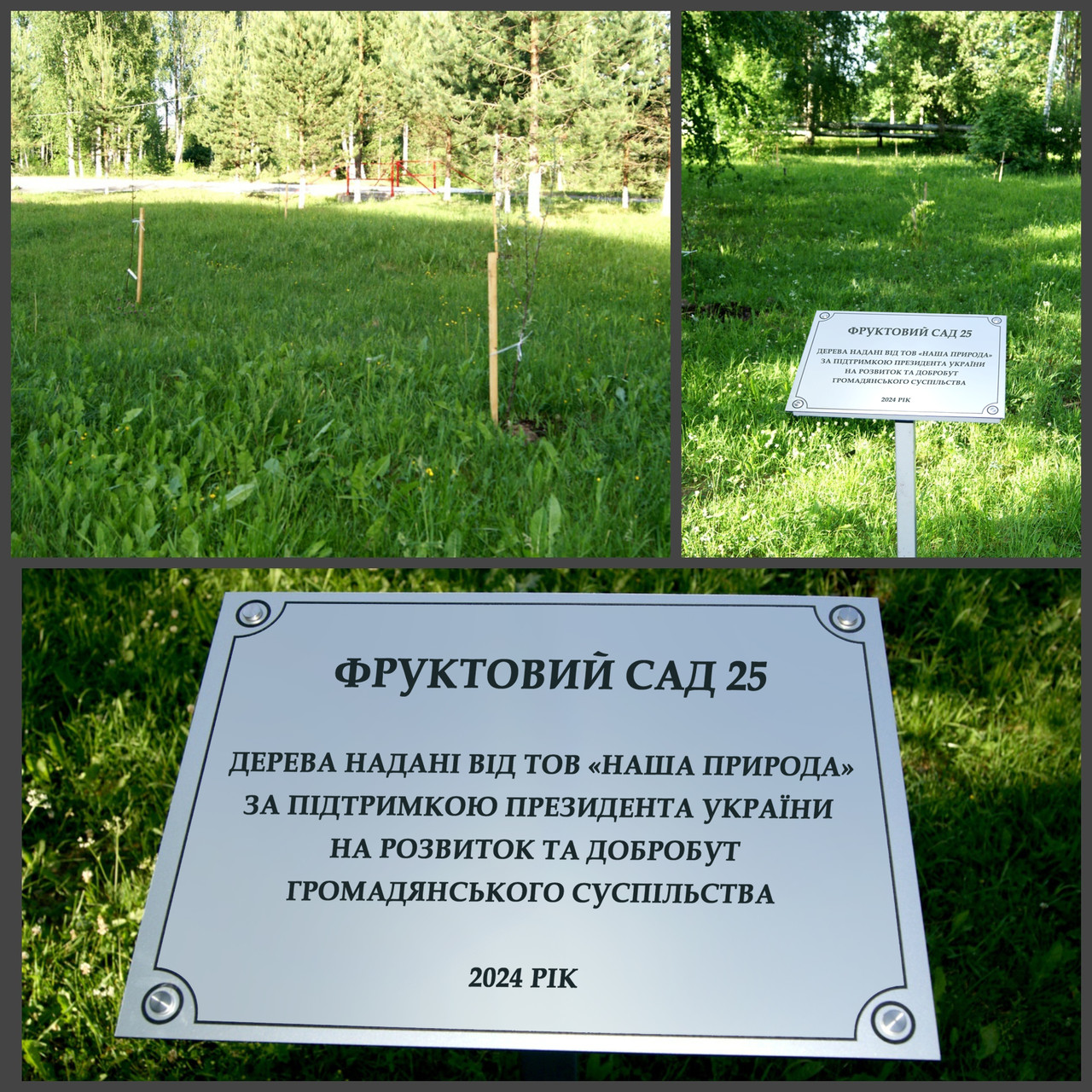 Таблички для саду про висаджування дерев