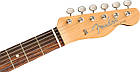 Електрогітара FENDER JIMMY PAGE TELECASTER RW NAT, фото 6