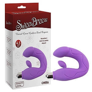 Вібратор подвійної стимуляції Chisa Sweet Breeze для точки G та клітора, фіолетовий