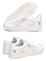 Чоловічі літні шкіряні кеди   FERRARI перфорація, білі кросівки повсякденні. Чоловіче взуття