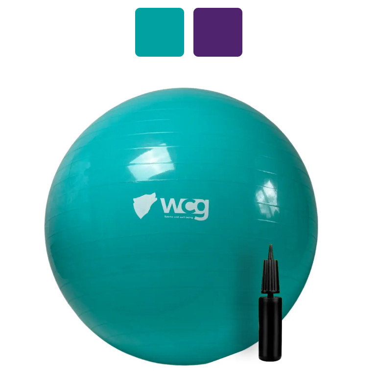 М'яч гімнастичний WCG 65 Anti-Burst 300кг + насос фітбол для фітнесу W_2304, фото 1