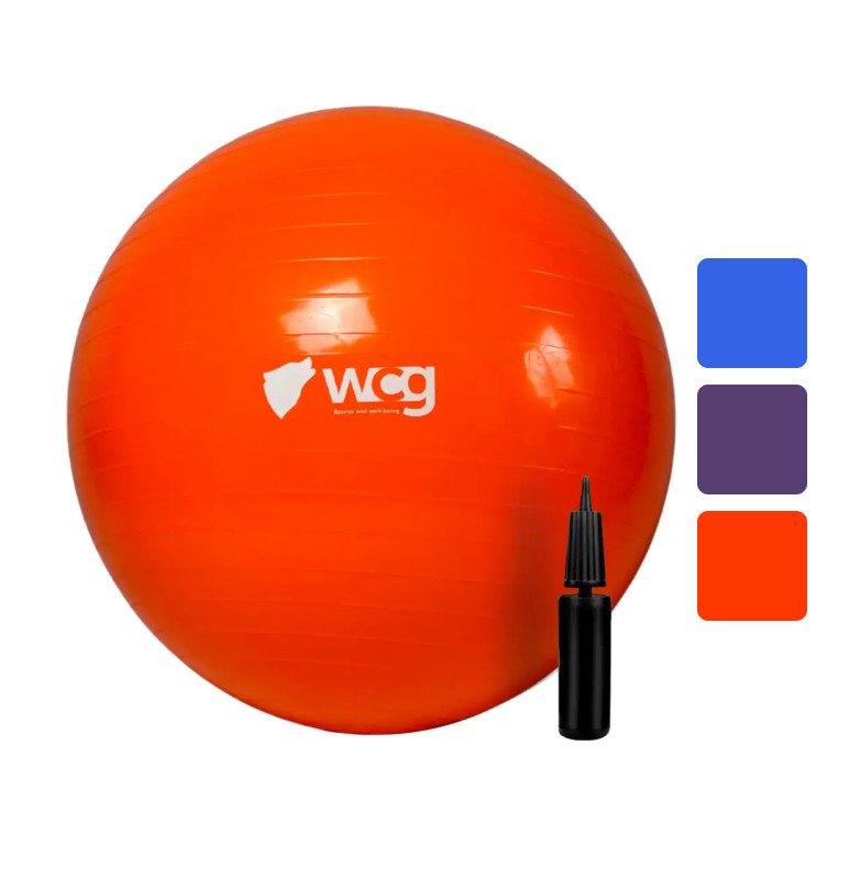 М'яч для фітнесу фітбол гімнастичний WCG 55 см Anti-Burst до 300 кг насос в комплекті W_5775, фото 1