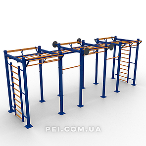 Кросфіт станція FX3075 (спортивний майданчик для street workout, спортивний комплекс, воркаут)