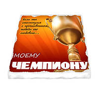 Магніт керамічний Чемпіон