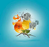 Xerjoff Erba Pura Парфумована вода унісекс, 2 мл (Пробник), фото 7