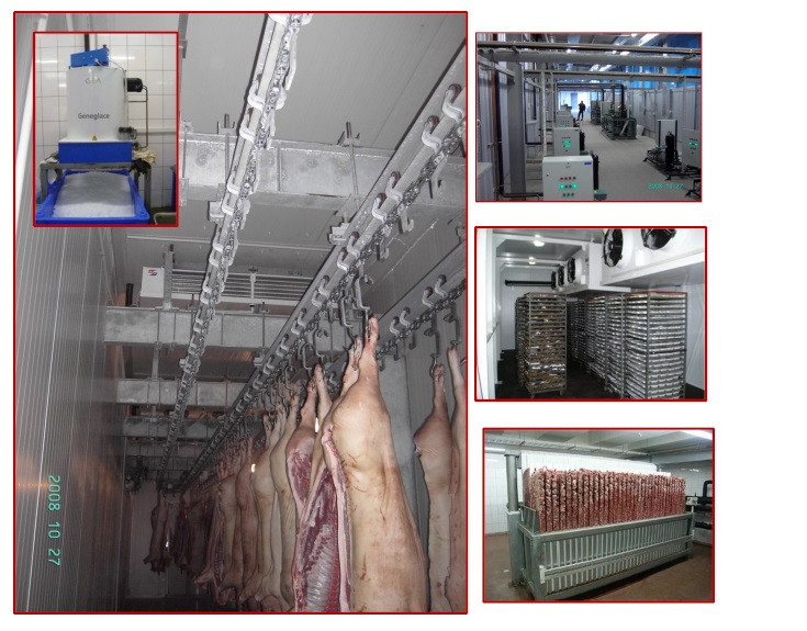 Холодильная камера для мяса - фото 1 - id-p33905042