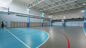 Спортивний лінолеум Tarkett Omnisports